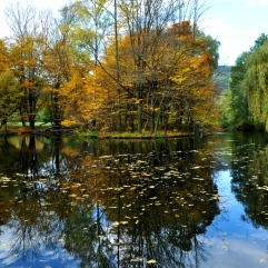 Der Teich im Schlosspark